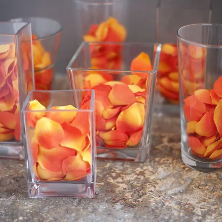 Charleston 3* Spoleto