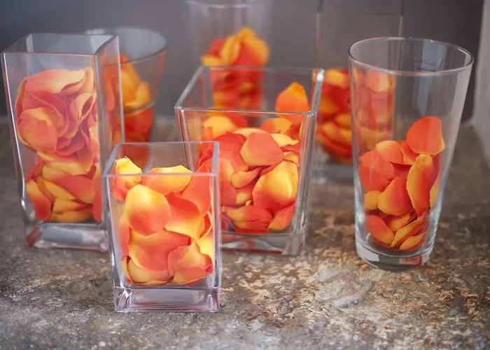 Charleston 3* Spoleto